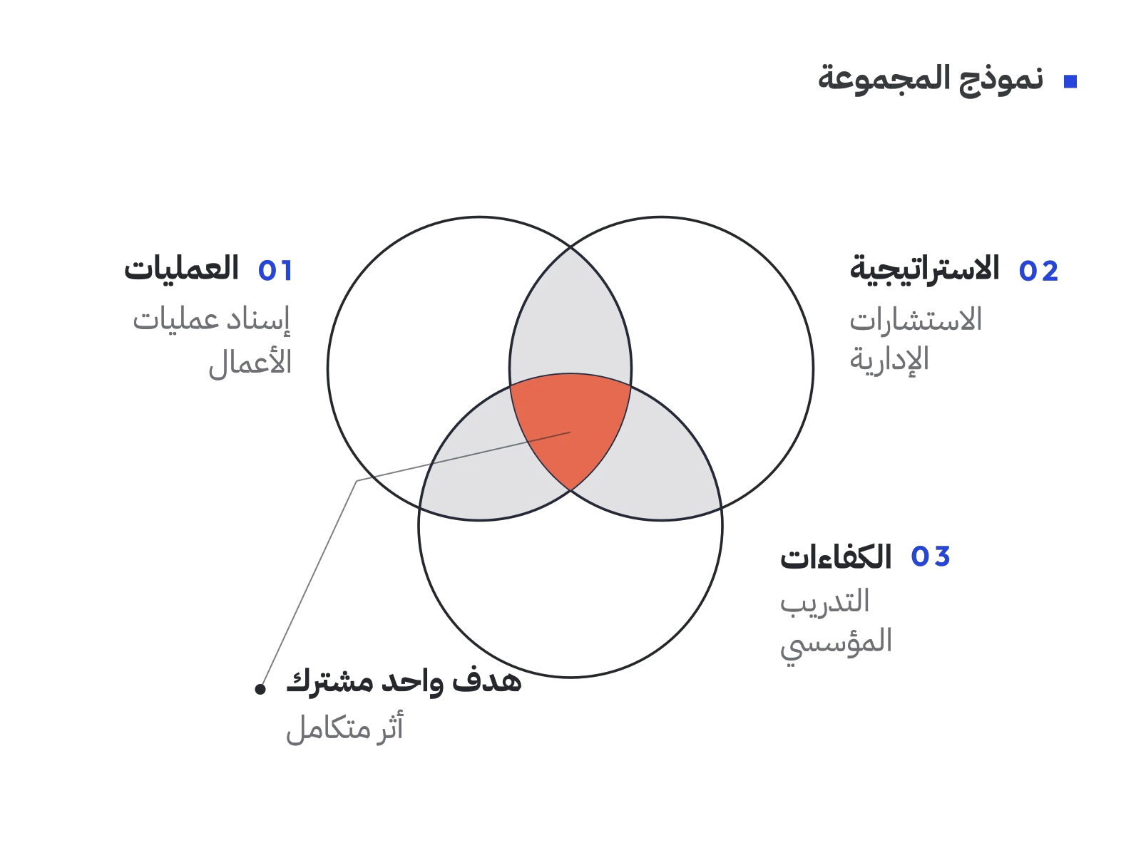 رسم تجريدي لثلاث دوائر متداخلة تمثّل العمليات والاستراتيجية والكفاءات، تلتقي في مركز مرجاني بعنوان هدف واحد مشترك.